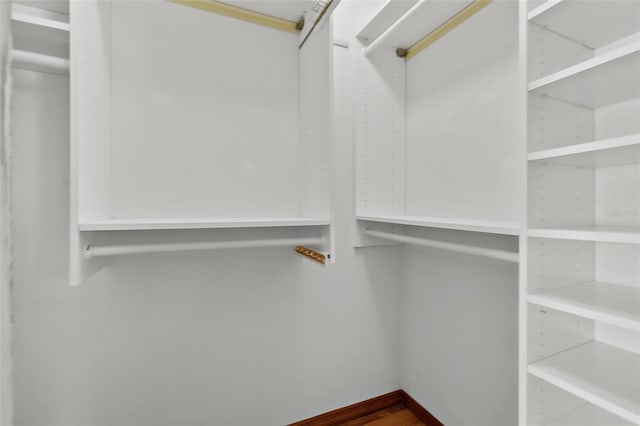 walk in closet with hardwood / wood-style flooring