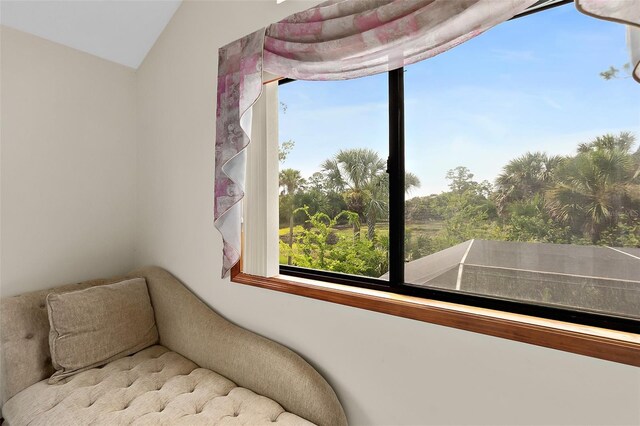 living area with vaulted ceiling