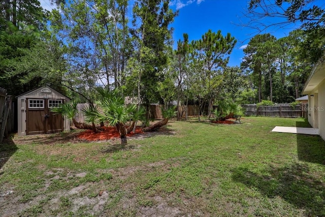 view of yard with a storage shed