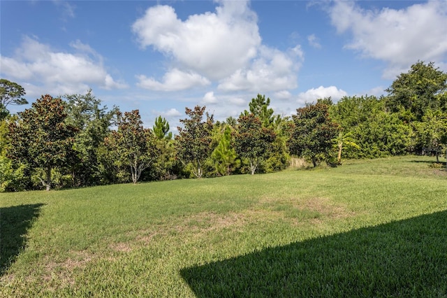 208 Heron Dr, Palm Coast, FL 32137 - photo 46