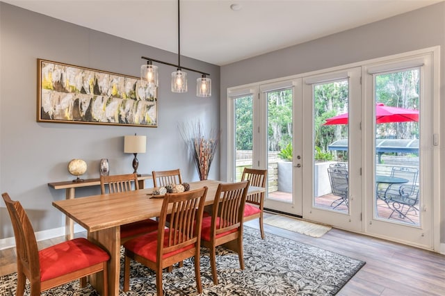 dining room featuring french doors, light hardwood / wood-style floors, and plenty of natural light