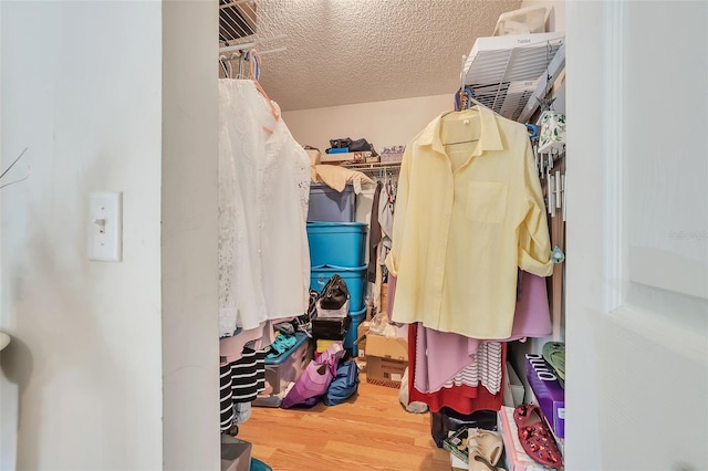 walk in closet featuring wood-type flooring