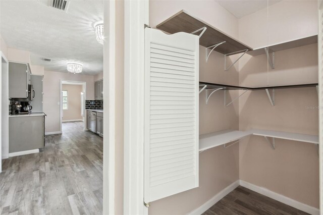 spacious closet with light wood-type flooring