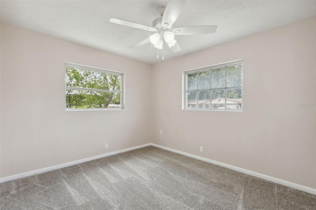 unfurnished room featuring ceiling fan and carpet flooring