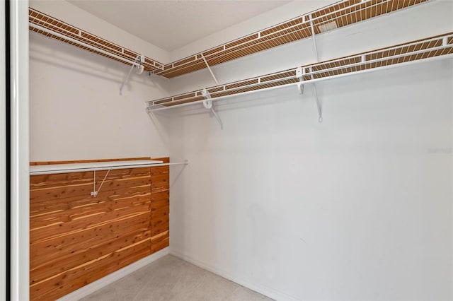 walk in closet featuring carpet flooring