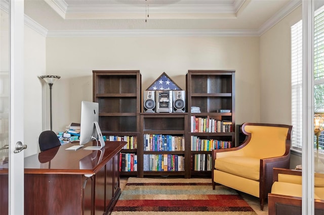 home office featuring carpet, crown molding, and a tray ceiling