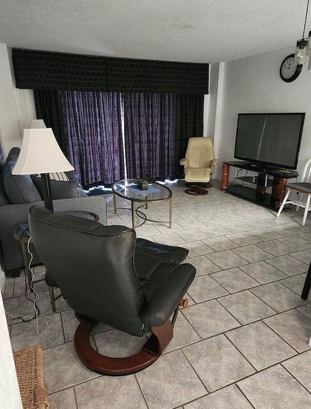 living room featuring a textured ceiling