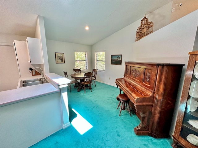 misc room featuring sink, carpet flooring, and vaulted ceiling