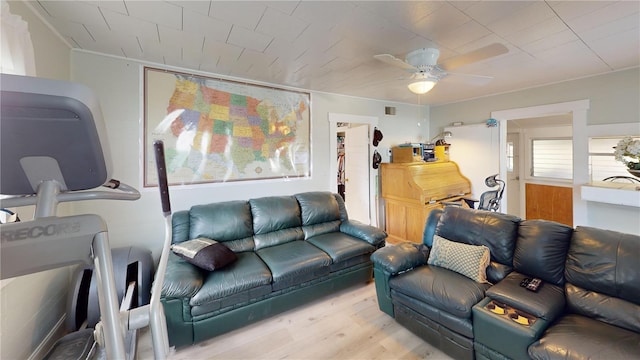 living area featuring a ceiling fan and light wood-type flooring