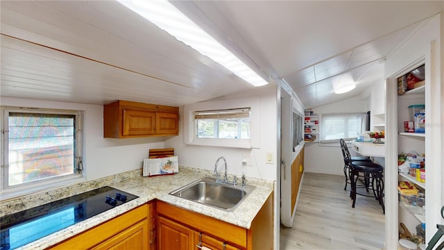 kitchen with lofted ceiling, brown cabinets, black electric stovetop, light countertops, and a sink