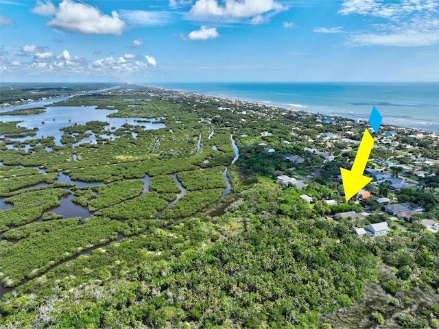 1928 S Palmetto Ave, Flagler Beach, FL 32136
