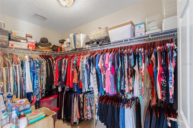 spacious closet featuring carpet floors