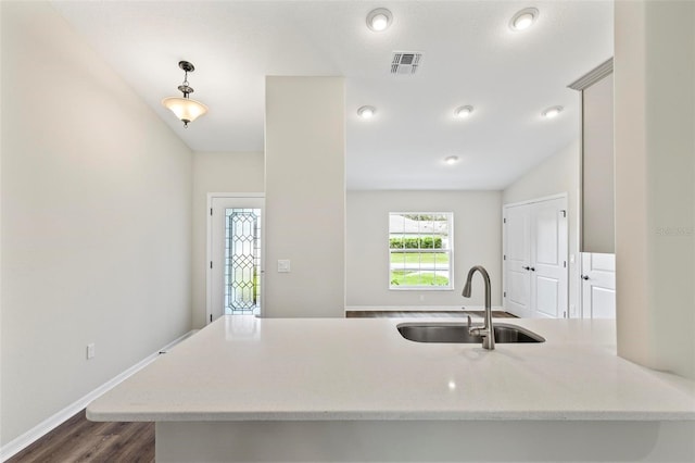 66 Ryland Dr, Palm Coast, FL 32164 - kitchen featuring dark hardwood / wood-style floors, kitchen peninsula, and sink