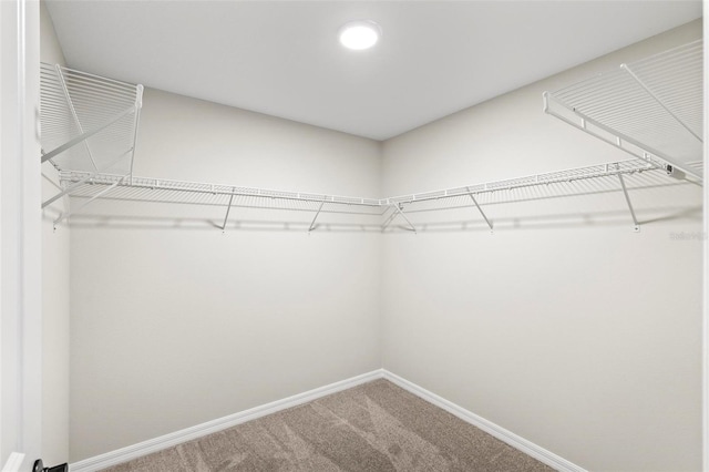66 Ryland Dr, Palm Coast, FL 32164 - walk in closet featuring carpet floors