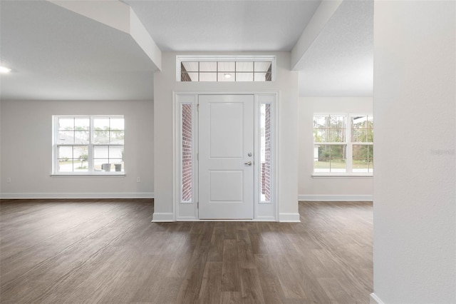 foyer entrance with dark hardwood / wood-style floors