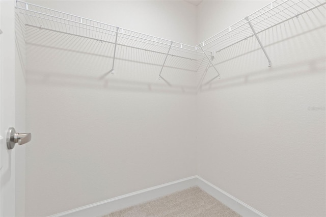 walk in closet with carpet