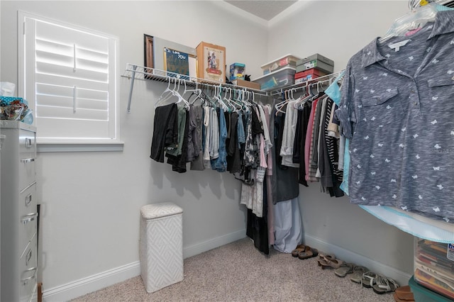 walk in closet featuring carpet flooring