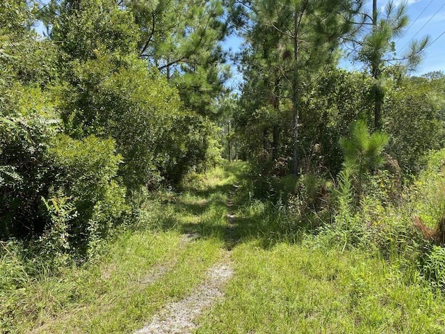 550 W River Rd, Palatka FL, 32177 land for sale