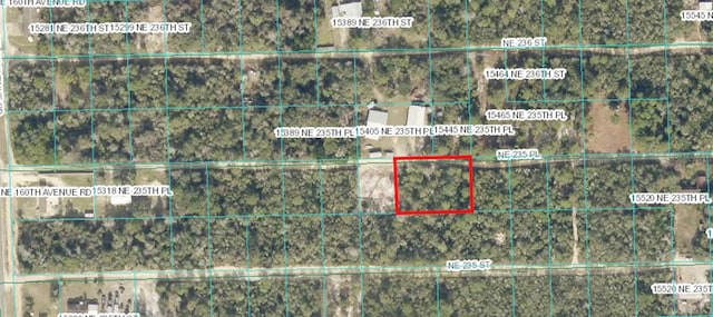 Listing photo 3 for 235 Pl, Fort Mc Coy FL 32134