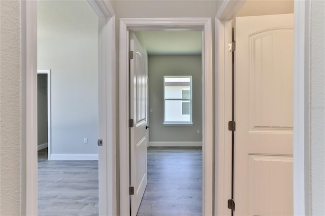 hallway with wood-type flooring