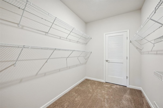 spacious closet with carpet floors