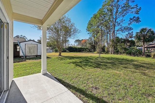 view of yard with a shed and a patio area