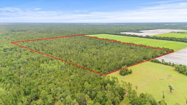 Tangerine Ave, Bunnell FL, 32110 land for sale