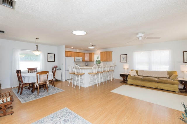 living room featuring ceiling fan, light hardwood / wood-style flooring, and a textured ceiling