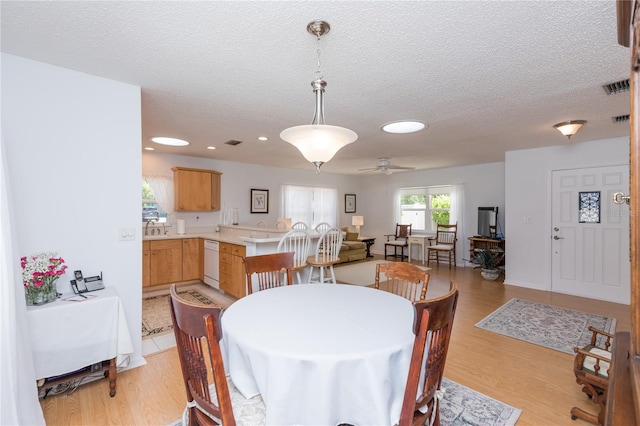 dining space with sink, light wood-type flooring, ceiling fan, and a textured ceiling