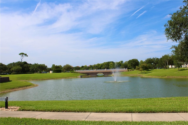 property view of water