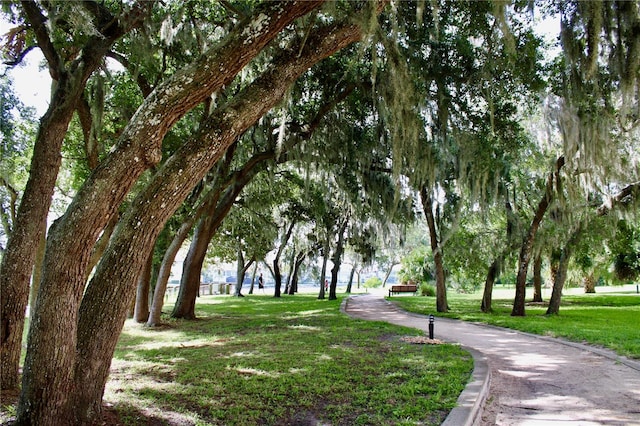 view of community with a yard