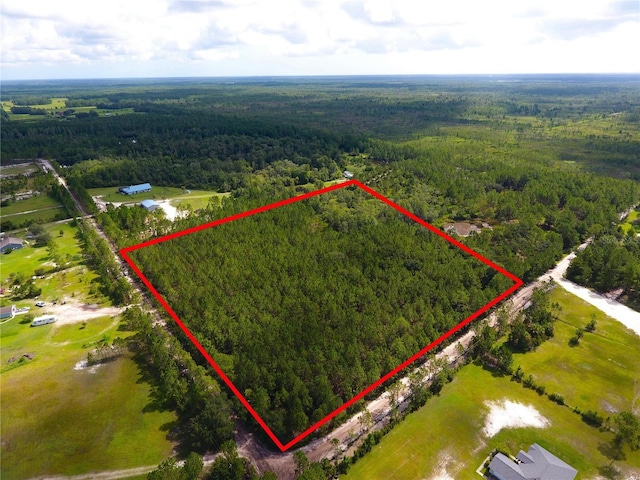 Natalies Ln, Ormond Beach, FL 32174