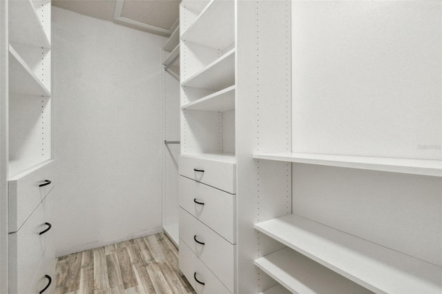 walk in closet with light wood-style flooring