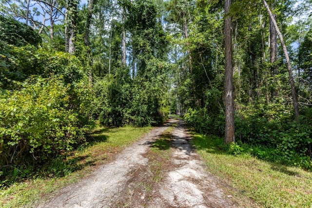 view of road