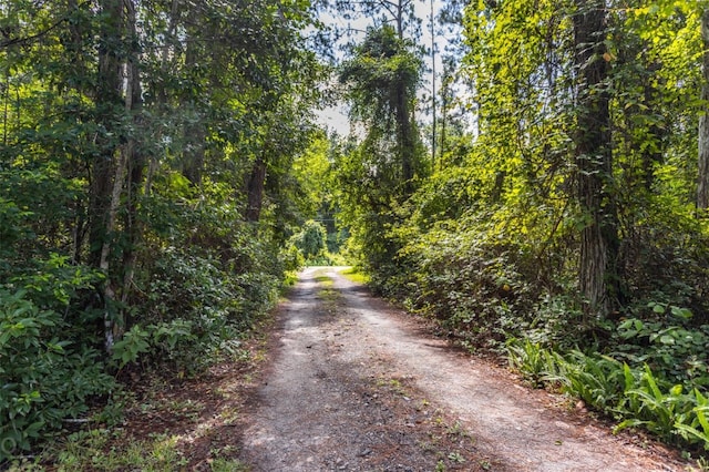 view of road