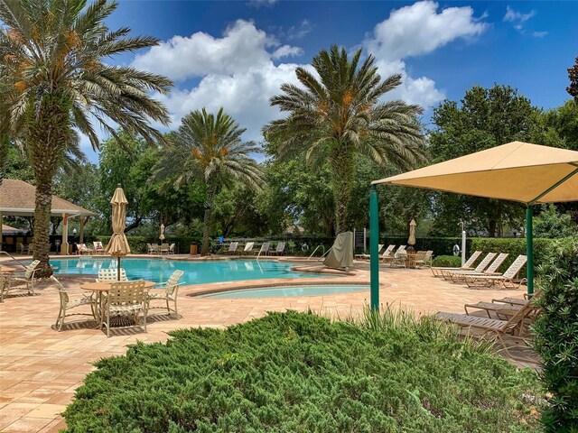 view of pool with a patio area