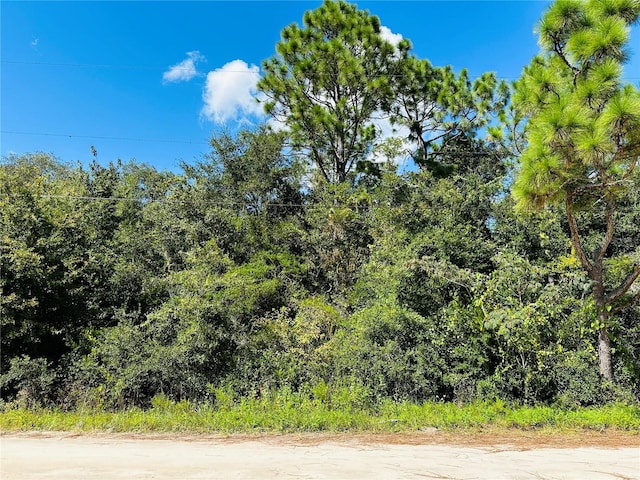 10645 Vaughan Ave, Hastings FL, 32145 land for sale