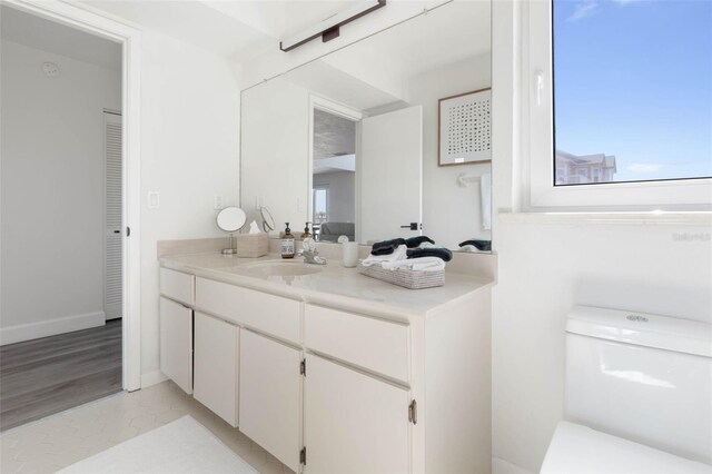 bathroom featuring vanity and wood-type flooring