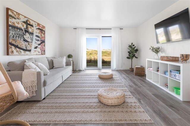 living room with wood-type flooring