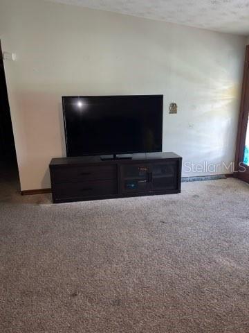 room details with a textured ceiling and carpet floors