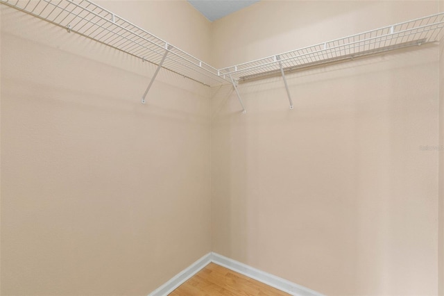 walk in closet with wood-type flooring