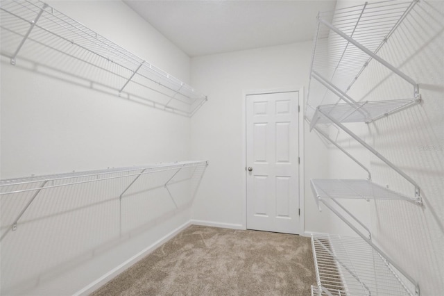 walk in closet featuring carpet