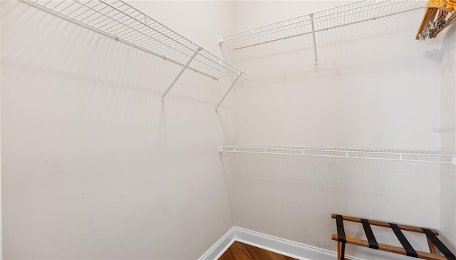 spacious closet featuring wood-type flooring