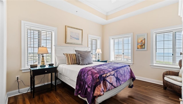 bedroom with dark wood-type flooring and a raised ceiling