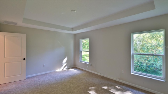 empty room featuring light colored carpet and a raised ceiling