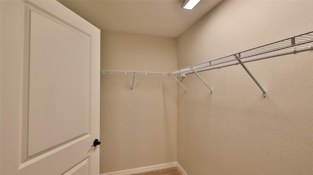 view of walk in closet