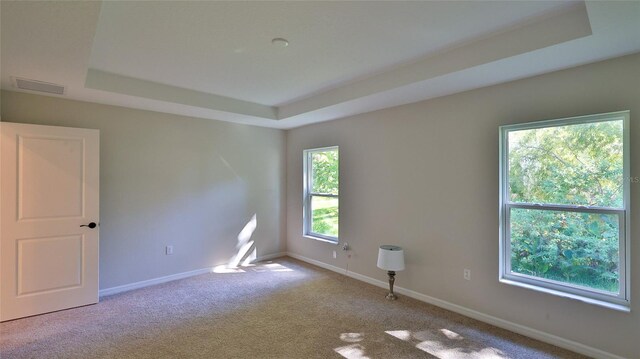 carpeted spare room featuring a tray ceiling