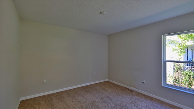 unfurnished room with plenty of natural light, light colored carpet, and a textured ceiling