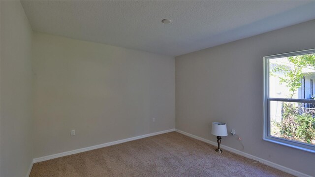 carpeted spare room with a healthy amount of sunlight and a textured ceiling