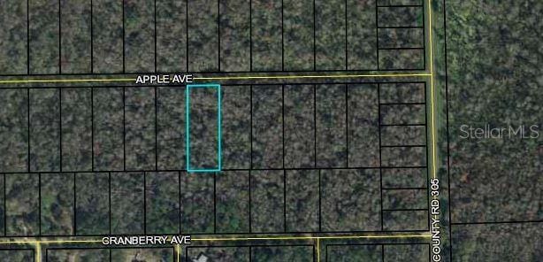 3681 Apple Ave, Bunnell FL, 32110 land for sale